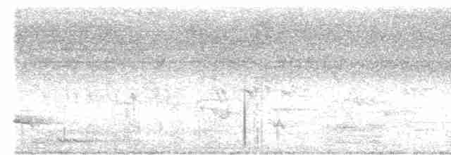 Пятнистогрудая тимелия-говорушка - ML616401755