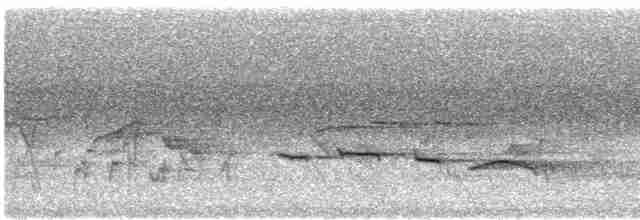 Puff-throated Babbler - ML616401872