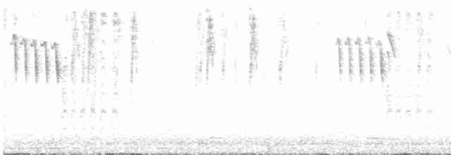 Можжевельниковая гренадерка - ML616402162