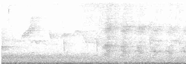 Аистоклювый гуриал - ML616403603