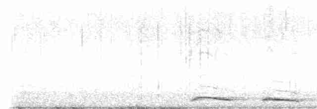 Кукушечья иглоногая сова - ML616404219