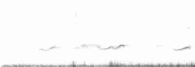 Gray-tailed Tattler - ML616404748
