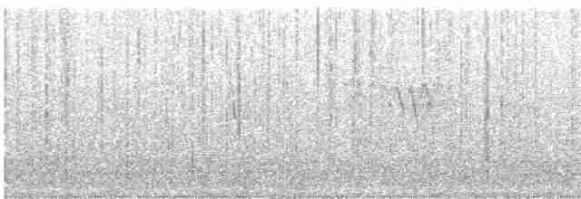 Mirlo Acuático Norteamericano - ML616405853