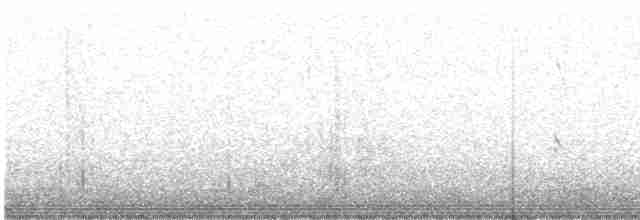 Белоголовый орлан - ML616405895