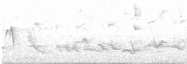 Белобровый крапивник - ML616407587