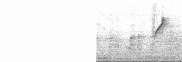 Атласная нектарница - ML616408833