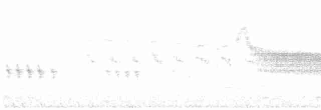 European Greenfinch - ML616409944