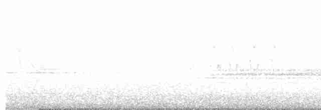 Lavandera India - ML616410167
