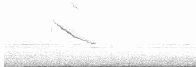 Ak Kaşlı Kuyruksallayan - ML616410174