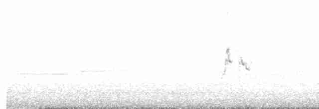 Weißbrauenstelze - ML616410177