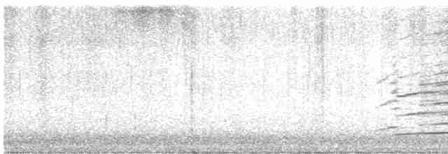 Белоголовый орлан - ML616410457