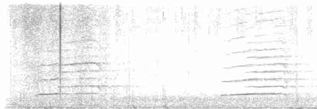 orel bělohlavý - ML616410479