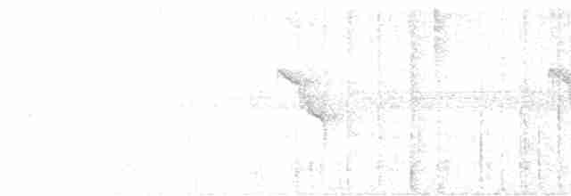 Медовичка фіджійська - ML616411969