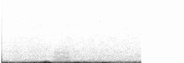 Ibis blanc - ML616416797