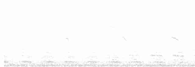 疣鼻天鵝 - ML616417656