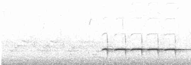 Шилоклювый дятел (auratus/luteus) - ML616418607