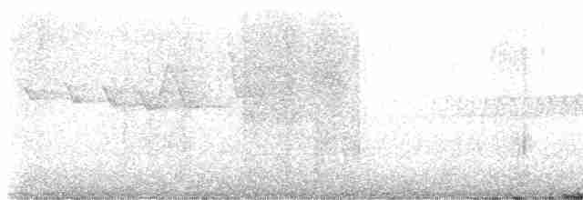 Трясогузковый певун - ML616419892