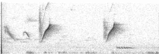 Атласная нектарница - ML616420932