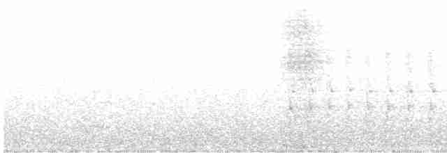 furuskrike (diademata gr.) - ML616421201