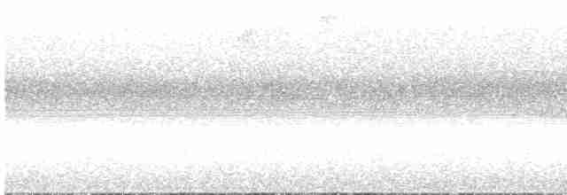 Кокоа плямистий [група aequatorialis] - ML616426746