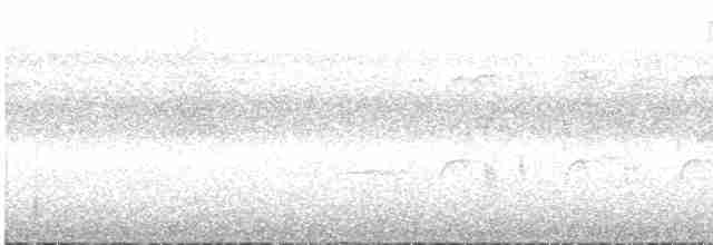 rorýs bělokrký - ML616426772