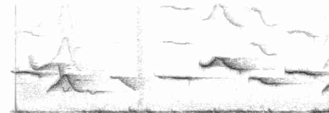 Spot-breasted Wren - ML616428212