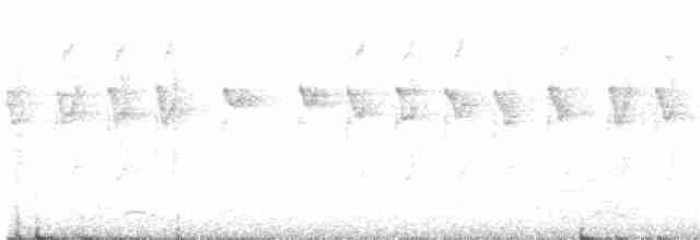 Шипохвостая райадито - ML616428574