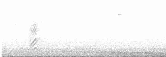 Kara Gagalı Saksağan - ML616431668