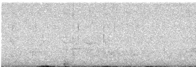 Опоясанный зимородок - ML616438243