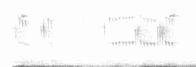 Stachelschwanzschlüpfer - ML616438641