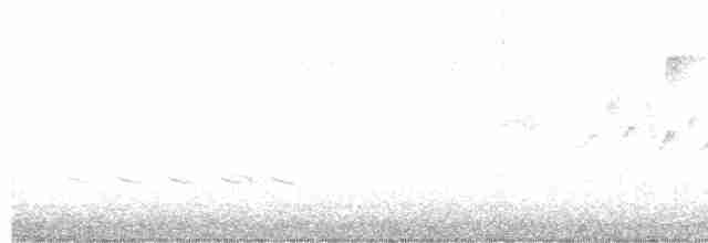 Golden-cheeked Warbler - ML616439841