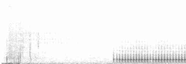 strakapoud americký [skupina harrisi] - ML616444439