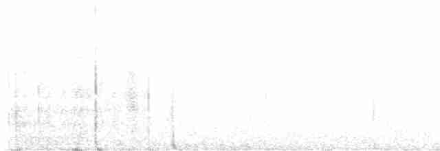 furuskrike (stelleri gr.) - ML616444476