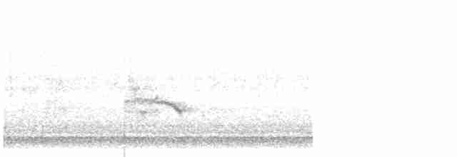アメリカマダラウミスズメ - ML616445088
