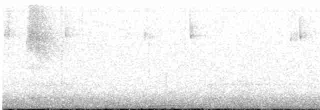 Голуб каліфорнійський [група fasciata] - ML616445177