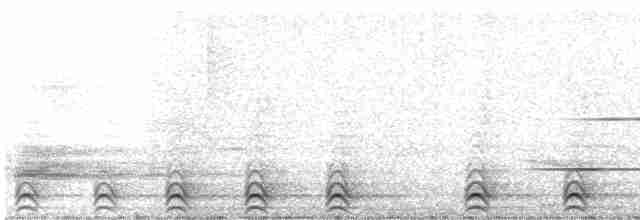 Slaty-tailed Trogon - ML616445611