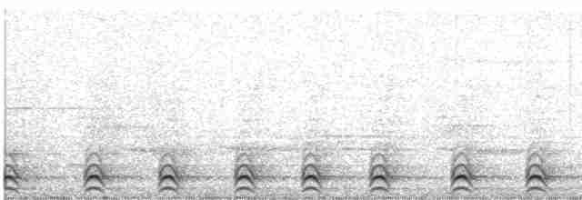 Slaty-tailed Trogon - ML616445625