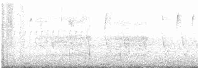 Пестрогрудая овсянка (Лисья) - ML616446130