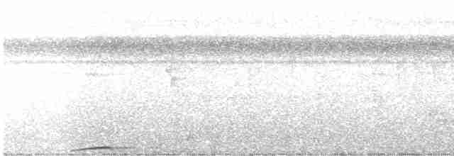 Момот іржасточеревий - ML616446198