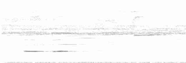 Rostbrust-Ameisendrossel - ML616447210