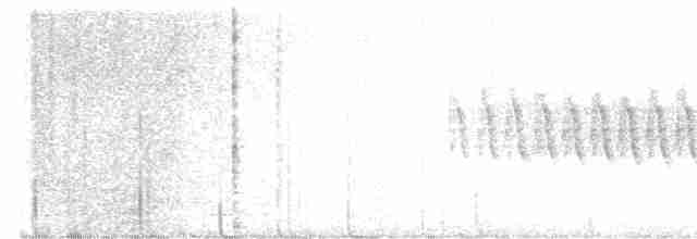 Юнко сірий (підвид caniceps) - ML616447281