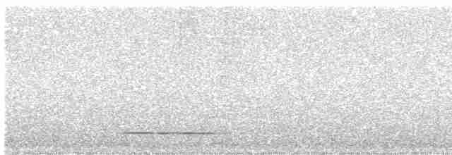 Thicket Tinamou - ML616448690