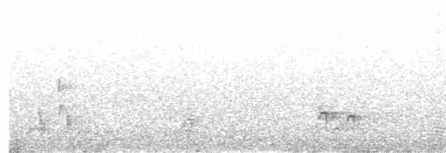 Clorofonia Coroniazul - ML616451757
