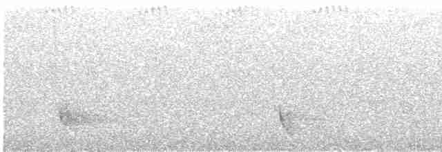 White-eared Honeyeater - ML616452599