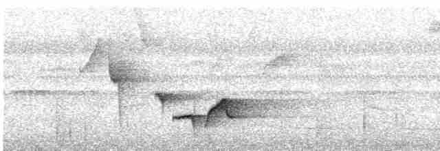 Troglodyte à poitrine grise (brunneiceps) - ML616453873