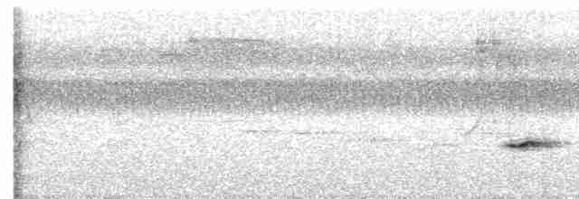 Кустарниковая кукушка (sepulcralis/everetti) - ML616454161