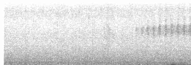 Пронурок сірий - ML616454587
