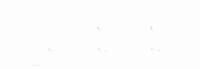 White-throated Kingfisher - ML616457517