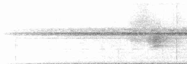 Pauraquenachtschwalbe - ML616459494