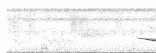 Kara Gerdanlı Çıtkuşu - ML616460279